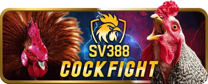 Biểu tượng Live Chat 24/7